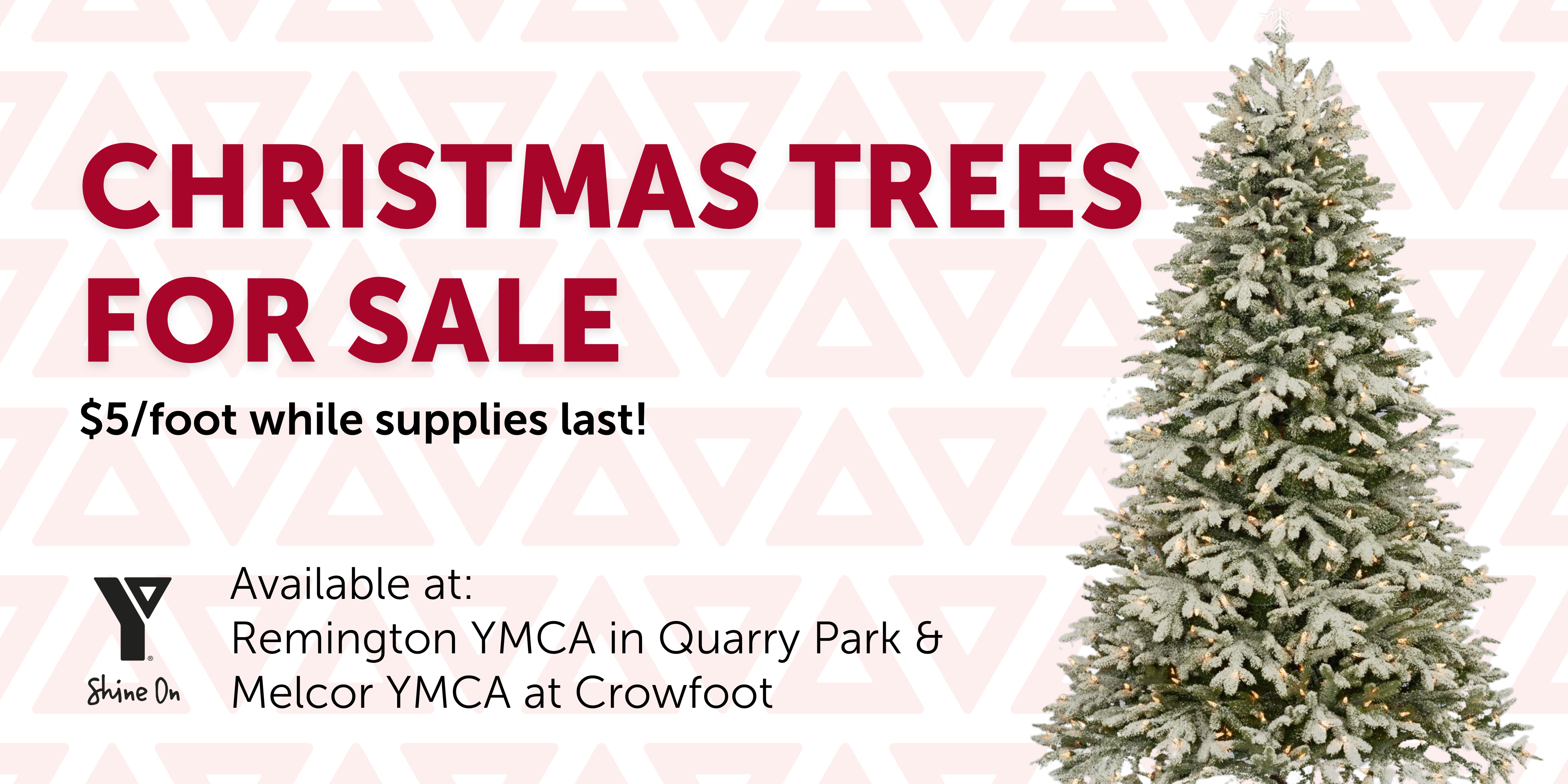Christmas tree sales 2023