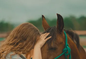 Girl and a horse