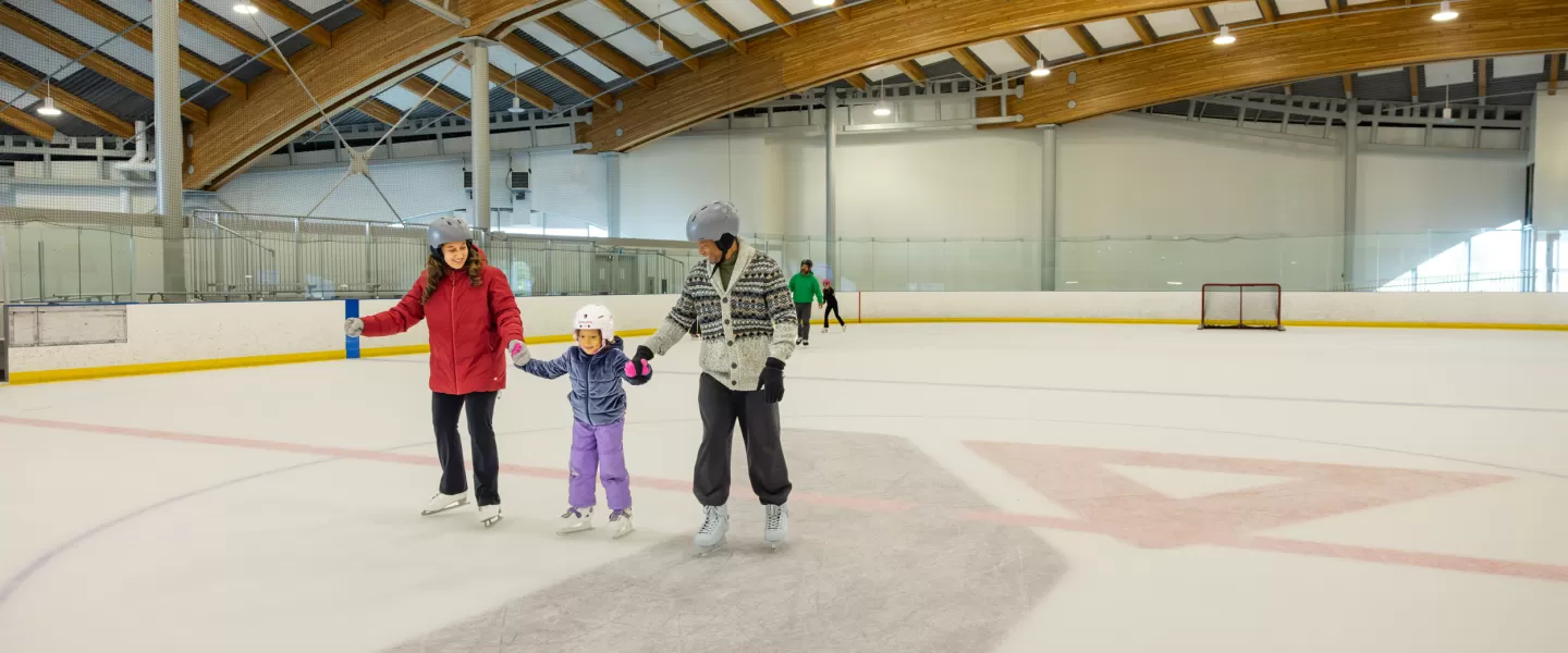 Family Skating in the Ice Rink