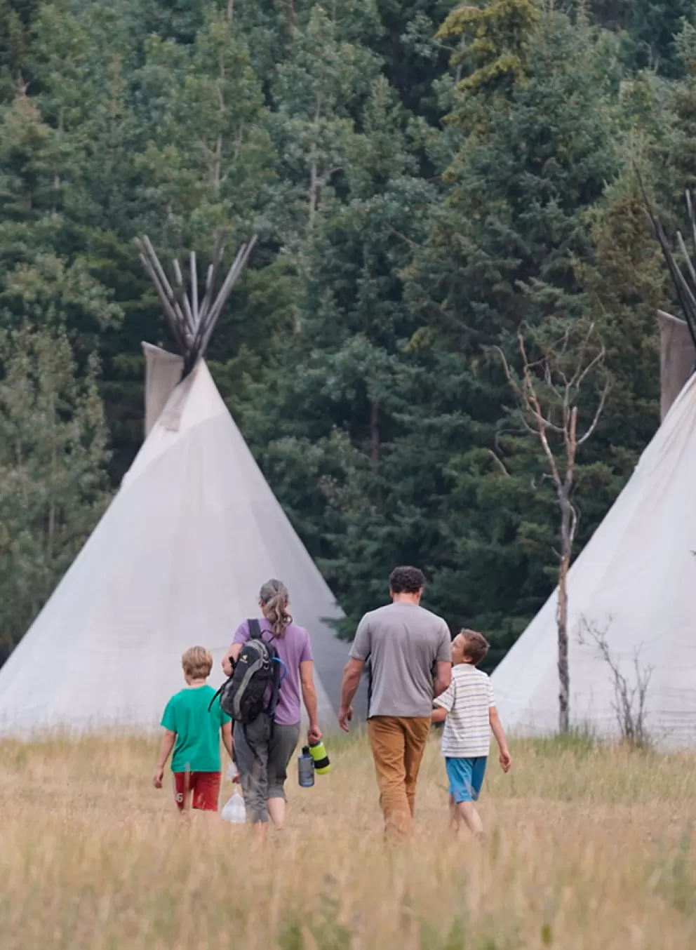 Camp Chief Hector Tipis