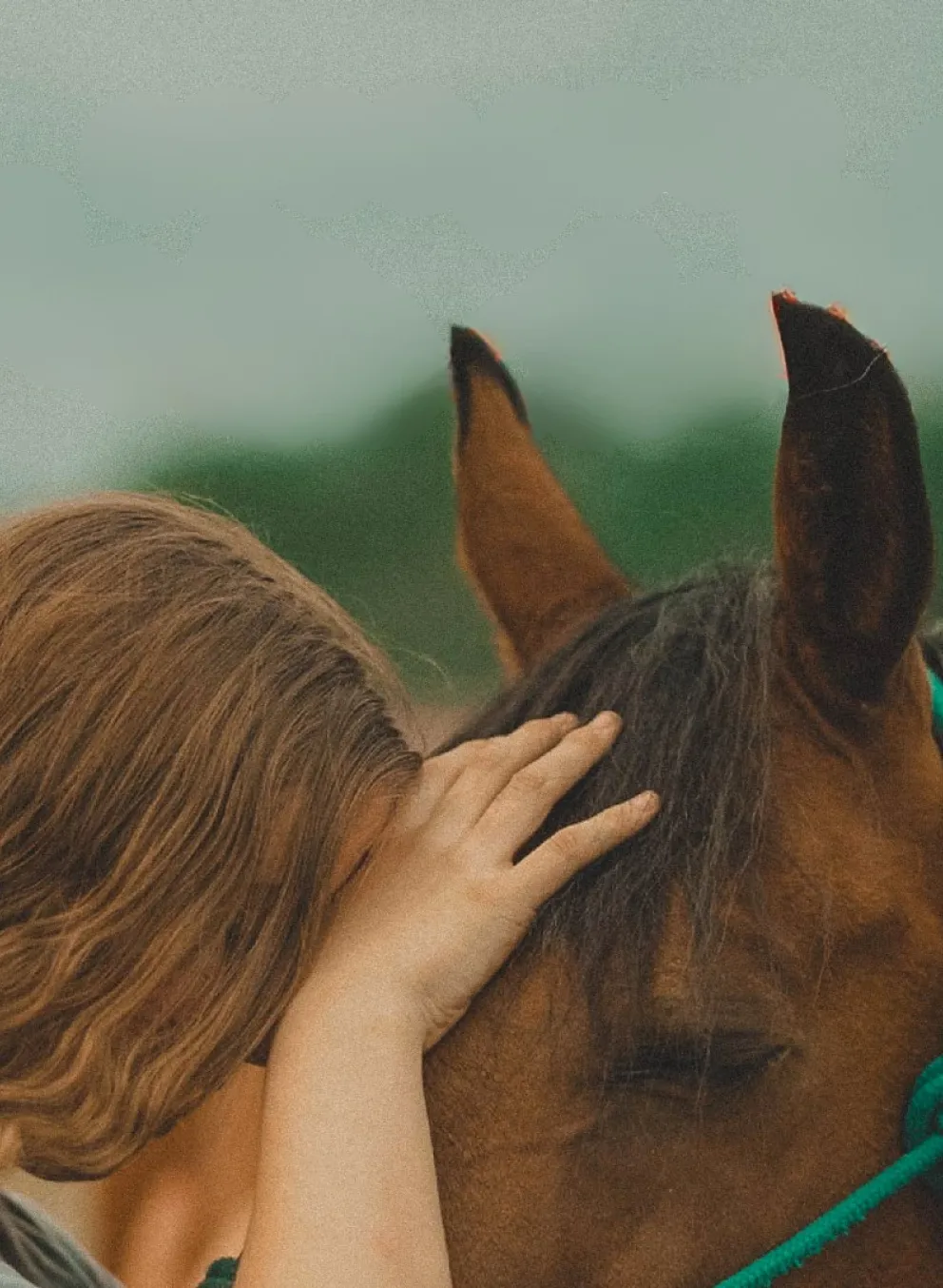 Girl and a horse