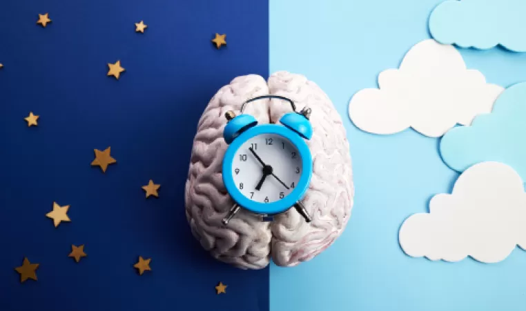 A Brain with a clock on it rests over a starry and cloudy sky depicting day and night time