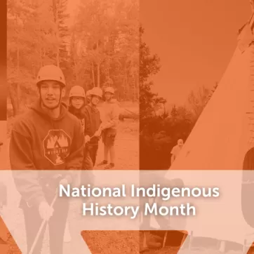 NIHM blog post header