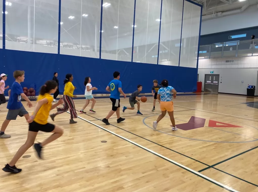 Grade 6 in the Gymnesium