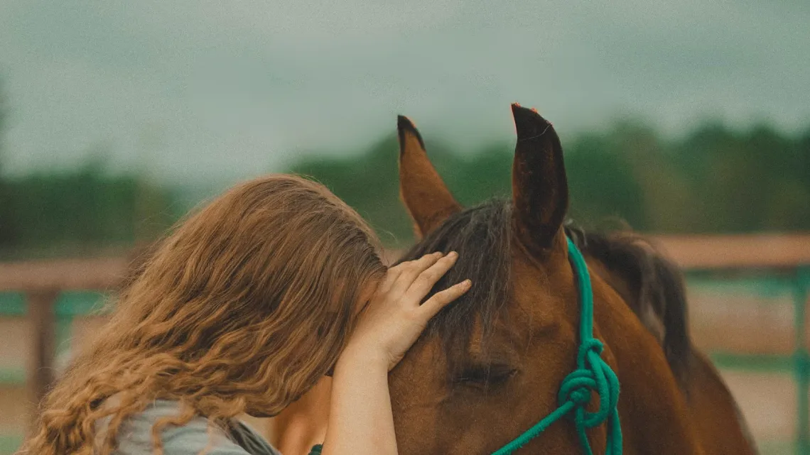 Girl and a horse