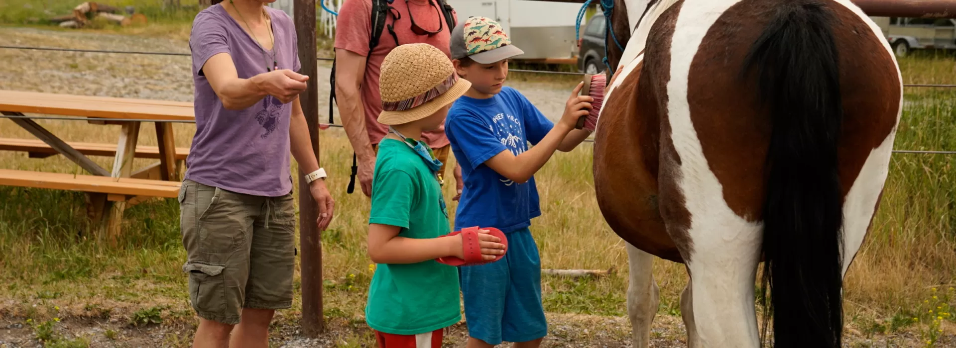 Family grooming horse
