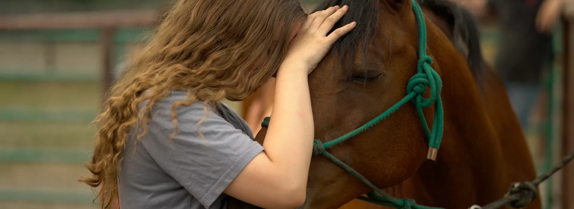 Girl hugging horse
